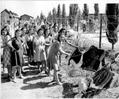 מחנה השבויים בעתלית 1946